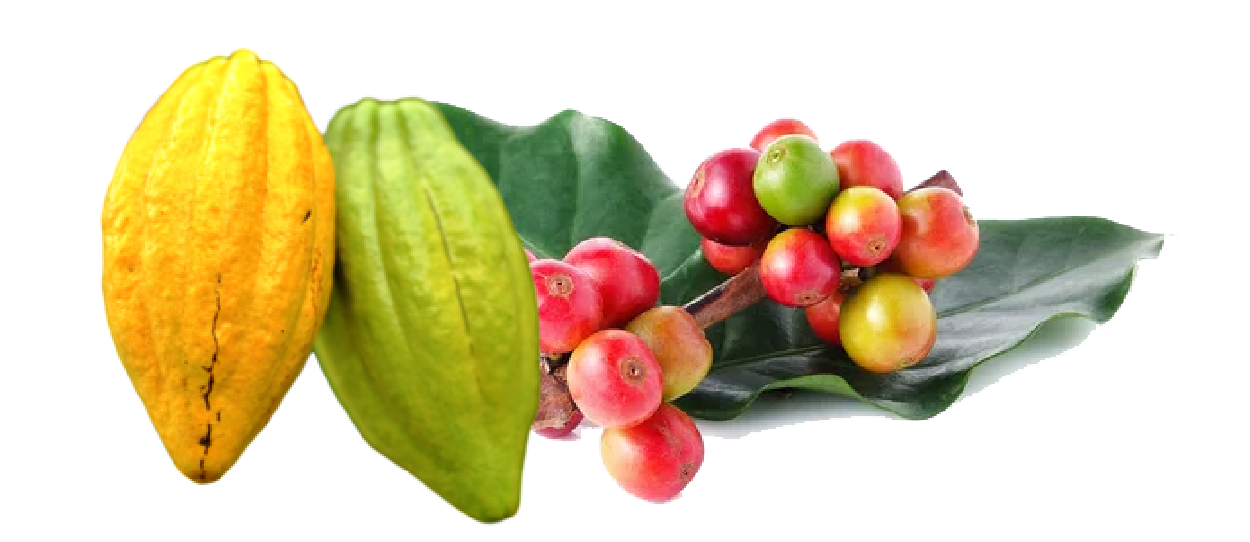https://firca.ci/wp-content/uploads/2025/09/Filiere-Agricole-01-1.png