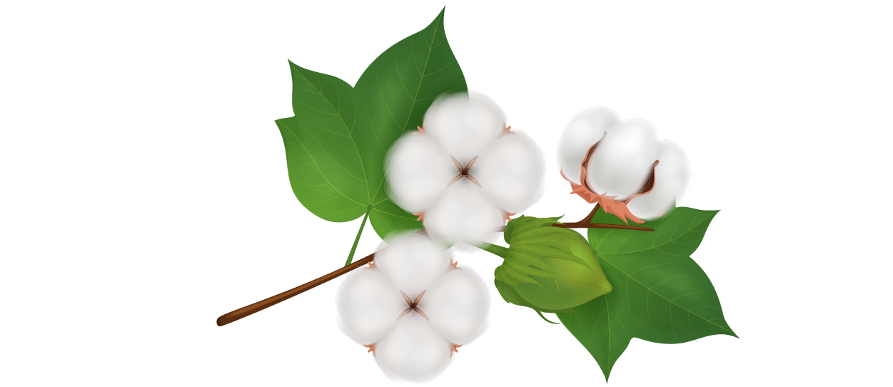 https://firca.ci/wp-content/uploads/2025/09/Filiere-Agricole-06.png