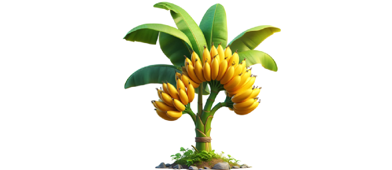 https://firca.ci/wp-content/uploads/2025/09/Filiere-Agricole-08.png