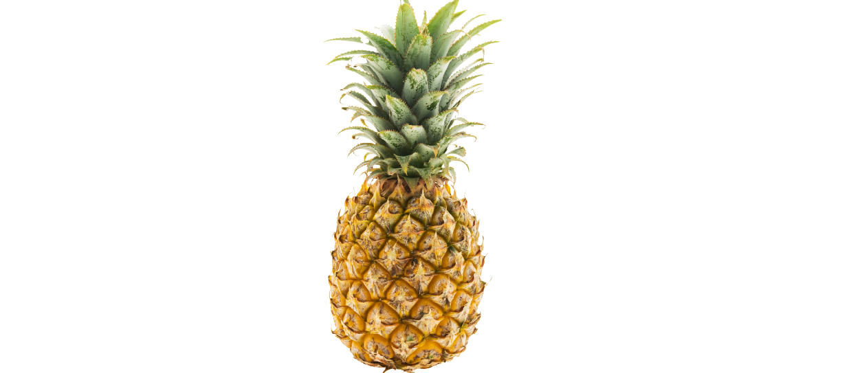 https://firca.ci/wp-content/uploads/2025/09/Filiere-Agricole-1.png