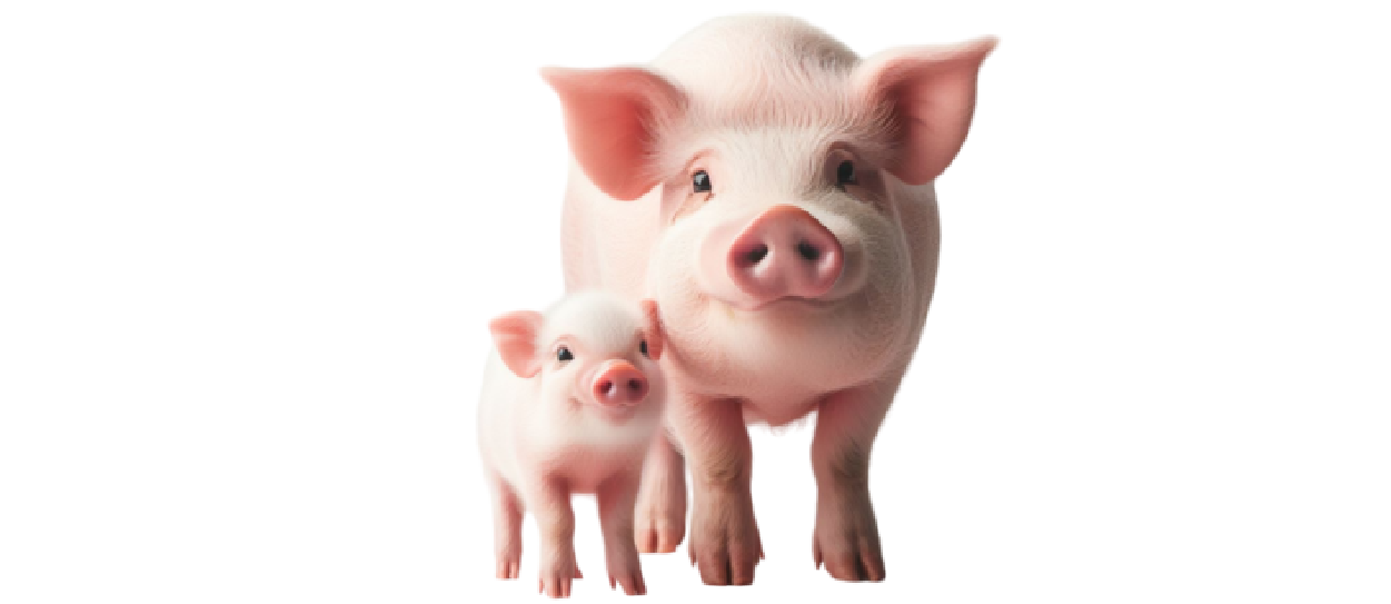 https://firca.ci/wp-content/uploads/2025/09/Filiere-Agricole-11.png