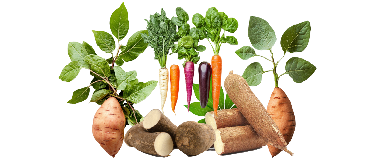https://firca.ci/wp-content/uploads/2025/09/Filiere-Agricole-14.png