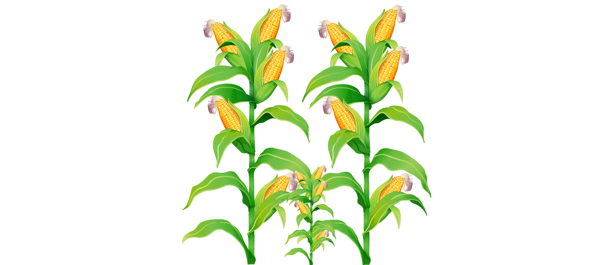 https://firca.ci/wp-content/uploads/2025/09/Filiere-Agricole-15.png
