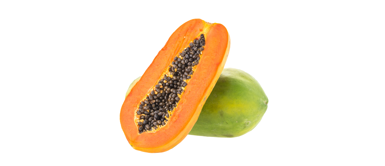 https://firca.ci/wp-content/uploads/2025/09/Filiere-Agricole-20.png
