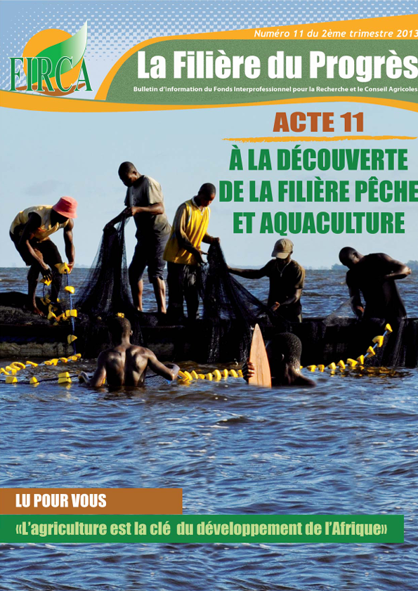 https://firca.ci/wp-content/uploads/2026/01/Capture-decran-2026-01-22-171507.png