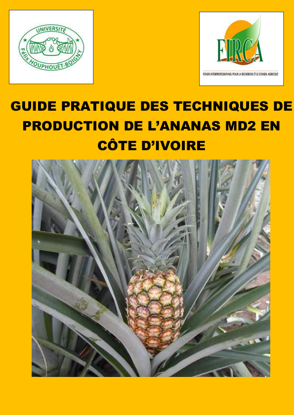 https://firca.ci/wp-content/uploads/2026/01/Capture-decran-2026-01-30-150642.png