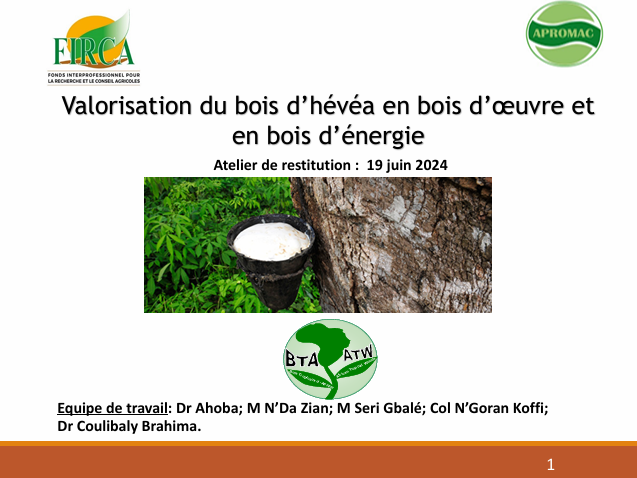 https://firca.ci/wp-content/uploads/2026/01/Presentation-Valorisation-du-bois-dhevea-en-bois-doeuvre-et-en-bois-denergie.png