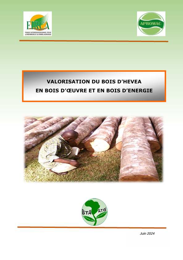 https://firca.ci/wp-content/uploads/2026/01/Rapport-Valorisation-du-bois-dhevea-en-bois-doeuvre-et-en-bois-denergie.png