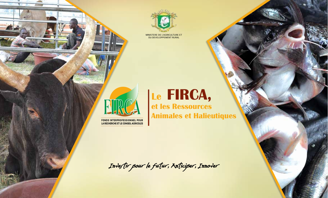 https://firca.ci/wp-content/uploads/2026/02/Capture-decran-2026-02-13-163135.png