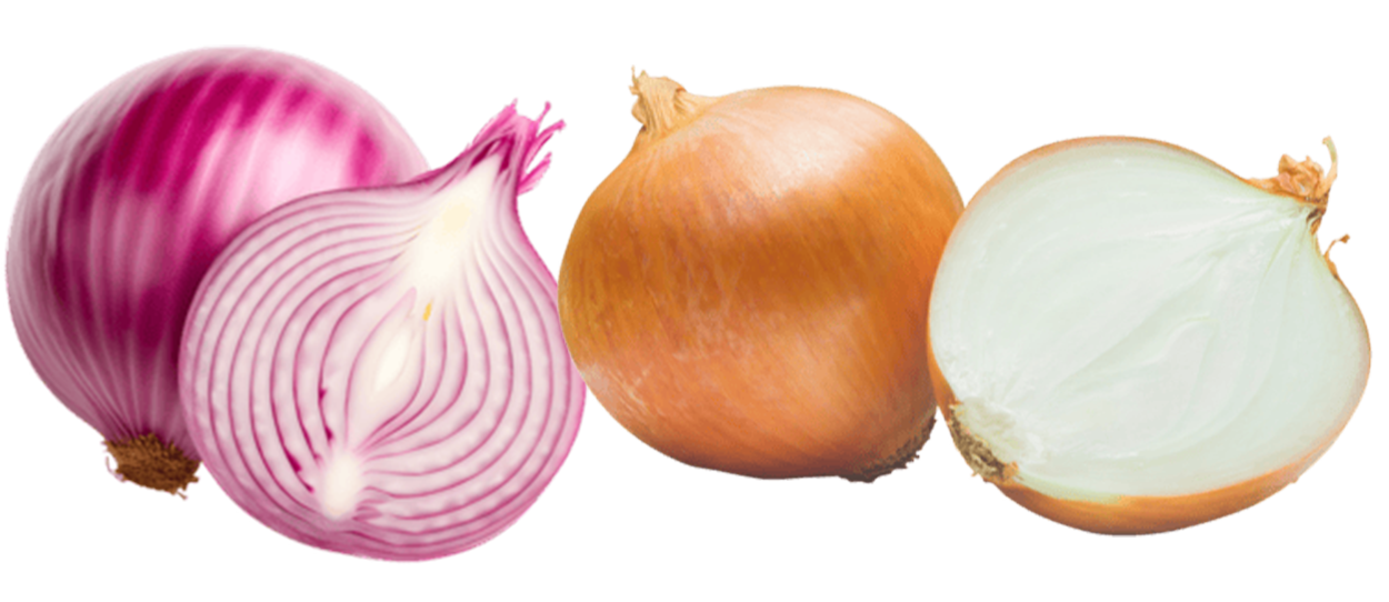 https://firca.ci/wp-content/uploads/2026/03/Oignon-1.png